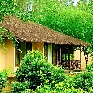 Jungle Family Cottage